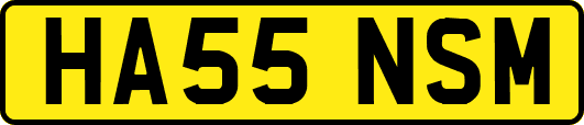 HA55NSM