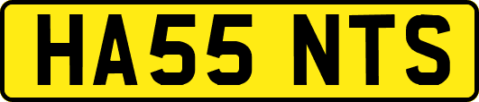 HA55NTS