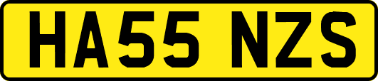 HA55NZS