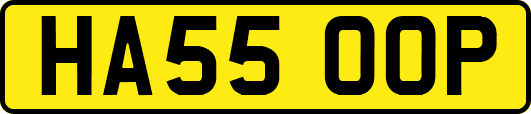 HA55OOP