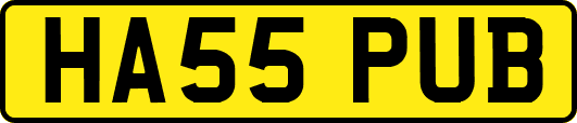 HA55PUB