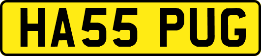 HA55PUG