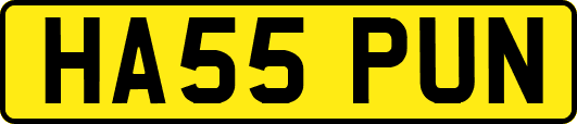 HA55PUN