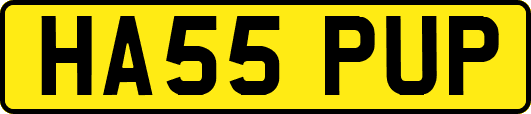 HA55PUP