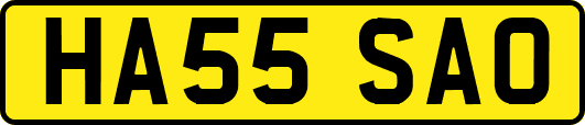 HA55SAO