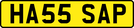 HA55SAP