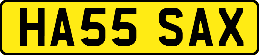 HA55SAX
