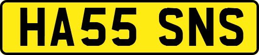 HA55SNS