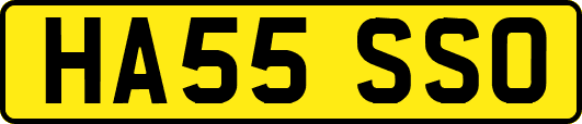 HA55SSO