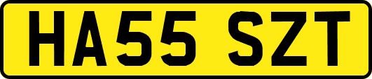 HA55SZT
