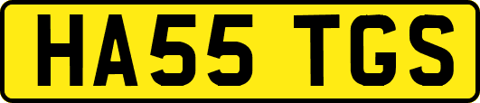 HA55TGS
