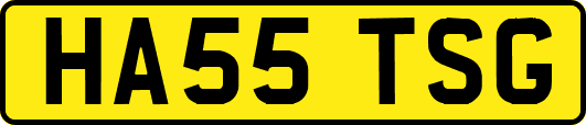 HA55TSG