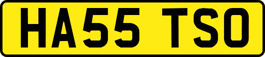 HA55TSO