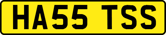 HA55TSS