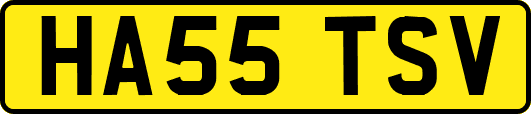 HA55TSV