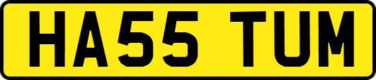 HA55TUM