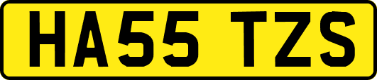 HA55TZS