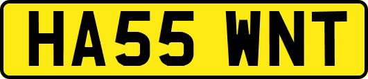 HA55WNT