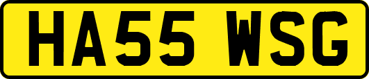 HA55WSG