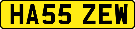 HA55ZEW