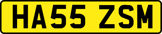 HA55ZSM