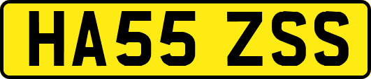 HA55ZSS