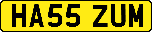HA55ZUM