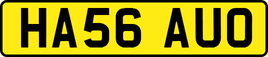HA56AUO