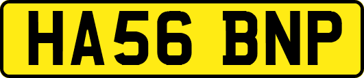 HA56BNP
