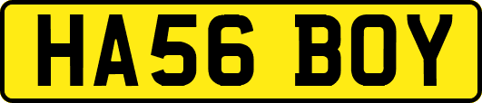HA56BOY