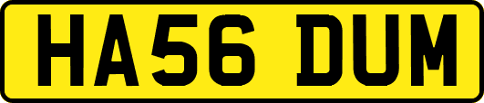 HA56DUM