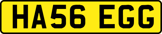HA56EGG