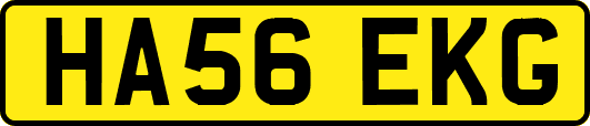 HA56EKG