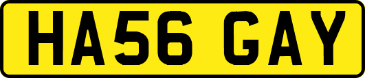HA56GAY