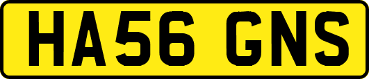HA56GNS