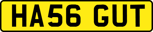 HA56GUT