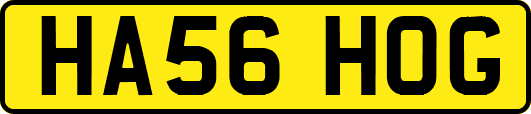 HA56HOG