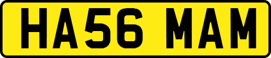 HA56MAM