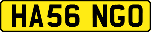 HA56NGO