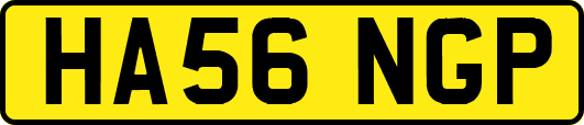 HA56NGP