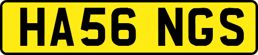 HA56NGS