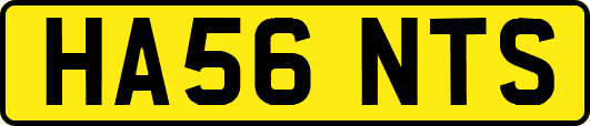 HA56NTS