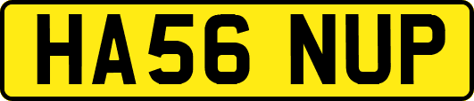HA56NUP