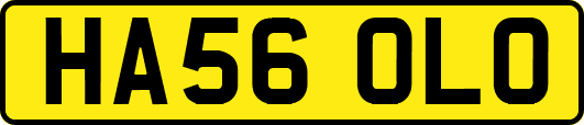 HA56OLO