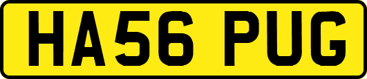 HA56PUG