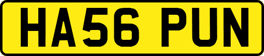 HA56PUN