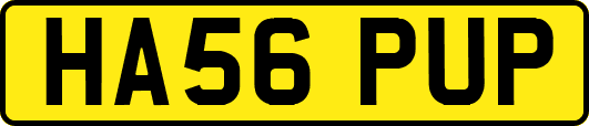 HA56PUP