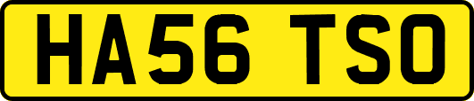 HA56TSO