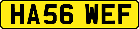 HA56WEF