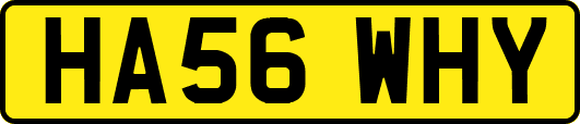 HA56WHY
